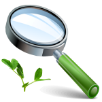 Find Local Food Image